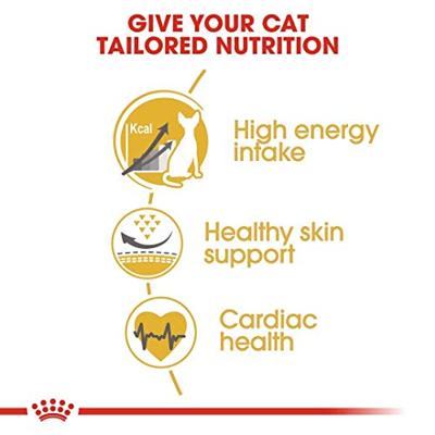 Royal Canin Adult Sphynx kattenvoer 2 x 10 kg - thumbnail