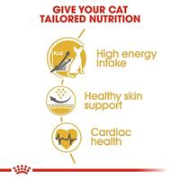 Royal Canin Adult Sphynx kattenvoer 2 x 10 kg - thumbnail