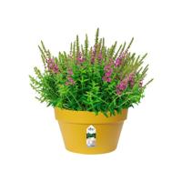 Elho loft urban schaal 35cm Geel - thumbnail