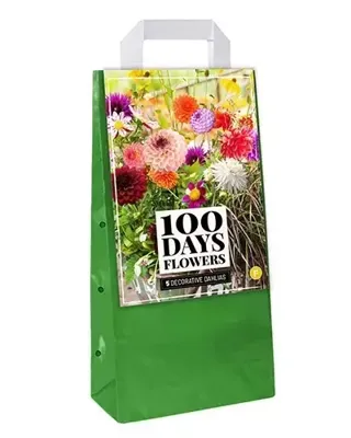 JUB Tas 5 Dahlia Decoratief Type Mix