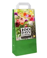 JUB Tas 5 Dahlia Decoratief Type Mix - thumbnail