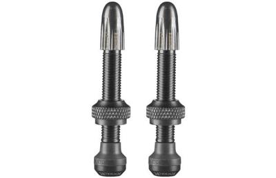 Axa Tubeless ventiel schwalbe 40mm (2 stuks)