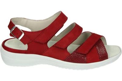 Strober HEDWIG 74023K - alle Strober HEDWIG 74023K - alle