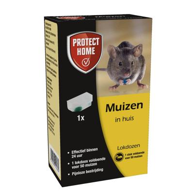 SBM Protect home express muizenval