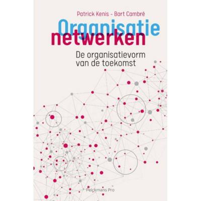Organisatienetwerken (Paperback)