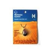 Ruben Robijn Sterrenbeeldhanger vissen (1 st)