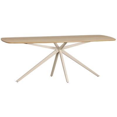 Woood Tablo eettafel Deens ovaal 220x100 cm Transparant grijs