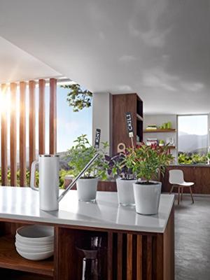 Blomus Limbo Gieter 1,5 l Blomus Limbo Gieter 1,5 l