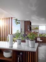 Blomus Limbo Gieter 1,5 l - thumbnail