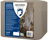 Liksteen BIOTIN - thumbnail