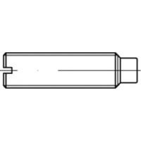 TOOLCRAFT TO-5435076 Draadpen M8 40 mm 100 stuk(s) - thumbnail
