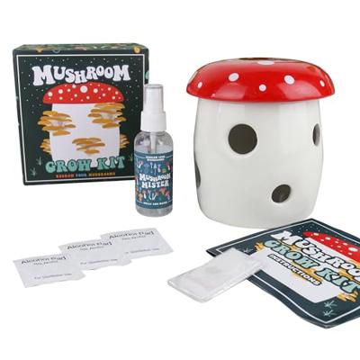 Paddenstoel groei set