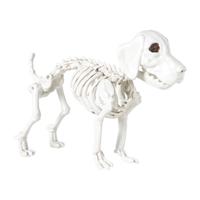 Halloween decoratie hondenskelet - wit - 21x27x12 cm - thumbnail