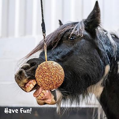 Likit Appel Bal Granola - thumbnail
