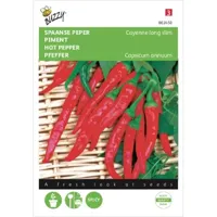 Zaden Spaanse Peper Cayenne long slim Buzzy - Buzzy - thumbnail