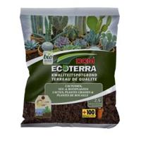 Ecoterra cactus en vetplanten potgrond 2.5 liter - thumbnail
