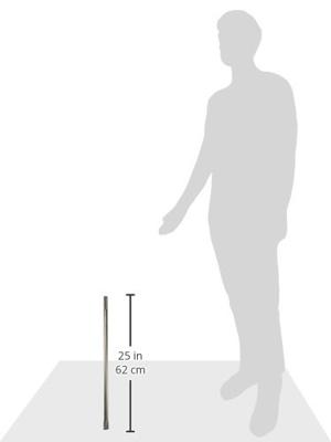 Bosch Accessoires Platte beitel SDS-max 600 x 25 mm 1st - 1618600203 - thumbnail