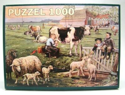 Ot en Sien puzzel in de weide