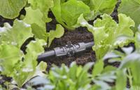 GARDENA micro-drip-system t-stuk voor sproeiers verbinding (donkergrijs) - thumbnail