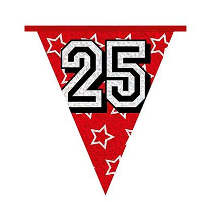 Vlaggenlijn Holografisch 25 Jaar - 8 Meter