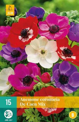 Bloembollen Anemone Coronaria De Caen Mix 15st