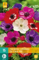 Bloembollen Anemone Coronaria De Caen Mix 15st - thumbnail