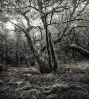 Komar Stefan Hefele; Komar Wanderlust Fotobehang Das Model - SHX5-018 - thumbnail