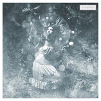 Altruist - LP (0640213145213) - thumbnail