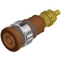 Hirschmann Test & Measurement SEB 2600 G M4 Veiligheids-labconnector, female Bus, inbouw verticaal Stift-Ø: 4 mm Bruin 1 stuk(s) - thumbnail