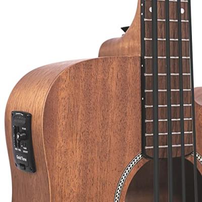 Gold Tone M-BASS25 Microbass met gigbag