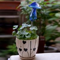 Paddestoel vorm huis planten bloemen water feeder automatische zelf drenken helder glas apparaten (blauw) - thumbnail
