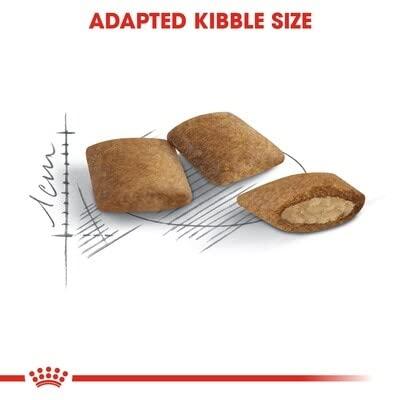 Royal Canin FHN Ageing 12+ droogvoer kat 4 kilo
