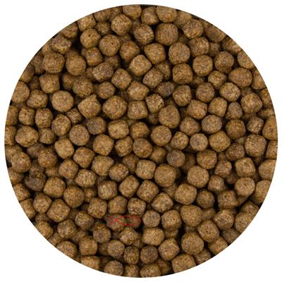 Pond Pro 6mm Koivoer Pellets - Compleet en Evenwichtig Koi Dieet - 10kg Zak