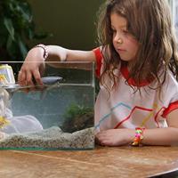 schleich WILD LIFE witte haai 14809 - thumbnail