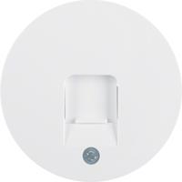 Berker centraalplaat computeraansluiting 1XRJ45 R1/R3 wit 11702089 - thumbnail