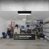 Set van 2 C-Series - LED Plafondlamp zwart ovaal - Wandlamp - Scheepslamp - IP54 - 12W - 1160lm - 6500K Daglicht wit - voor binnen en buiten - thumbnail
