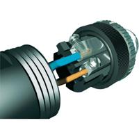 Phoenix Contact 1681169 Sensor/actuator connector, niet geassembleerd M8 Stekker, recht Aantal polen (sensoren): 4 1 stuk(s) Piece - thumbnail