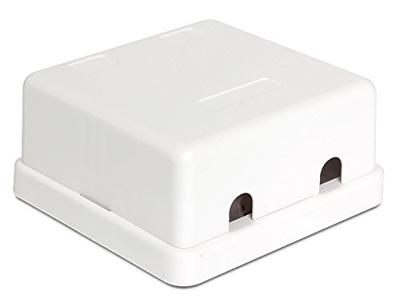 DeLOCK Keystone Surface Mounted Box 2 Port behuizing