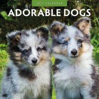 Adorable Dogs Kalender 2027 - thumbnail