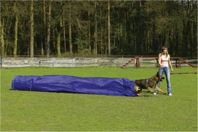 Beeztees Agility Tunnel met Zak - Hondenspeelgoed - 500x60x60 cm Beeztees Agility Tunnel met Zak - Hondenspeelgoed - 500x60x60 cm