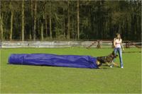 Beeztees Agility Tunnel met Zak - Hondenspeelgoed - 500x60x60 cm - thumbnail