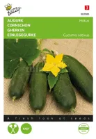 Zaden Augurk Hokus Buzzy - Buzzy - thumbnail