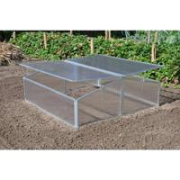 Silver Thyme kweekkas - thumbnail