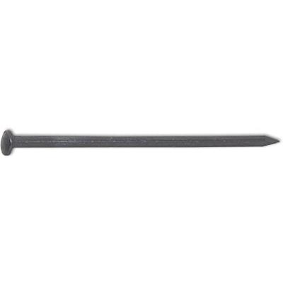 DQ stalen nagel 3.0x60mm bkv (100st)