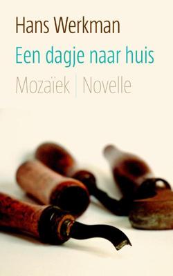 Een dagje naar huis - Hans Werkman - ebook