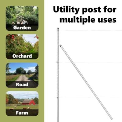 VidaXL Afrasteringspaal 7 pcs zilver staal