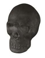 Moses gum piratenschedel 5 cm zwart - thumbnail