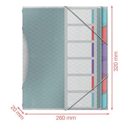 Esselte Colour&apos;Breeze sorteermap, PP, ft A4, 6 tabs, assorti