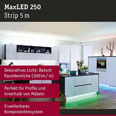 Paulmann MaxLED Stripe RGB 79867 LED-strip Met connector (male) 24 V 5 m Warmwit 1 stuk(s)