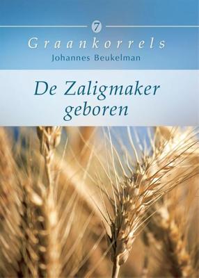 De Zaligmaker geboren - Johannes Beukelman - ebook